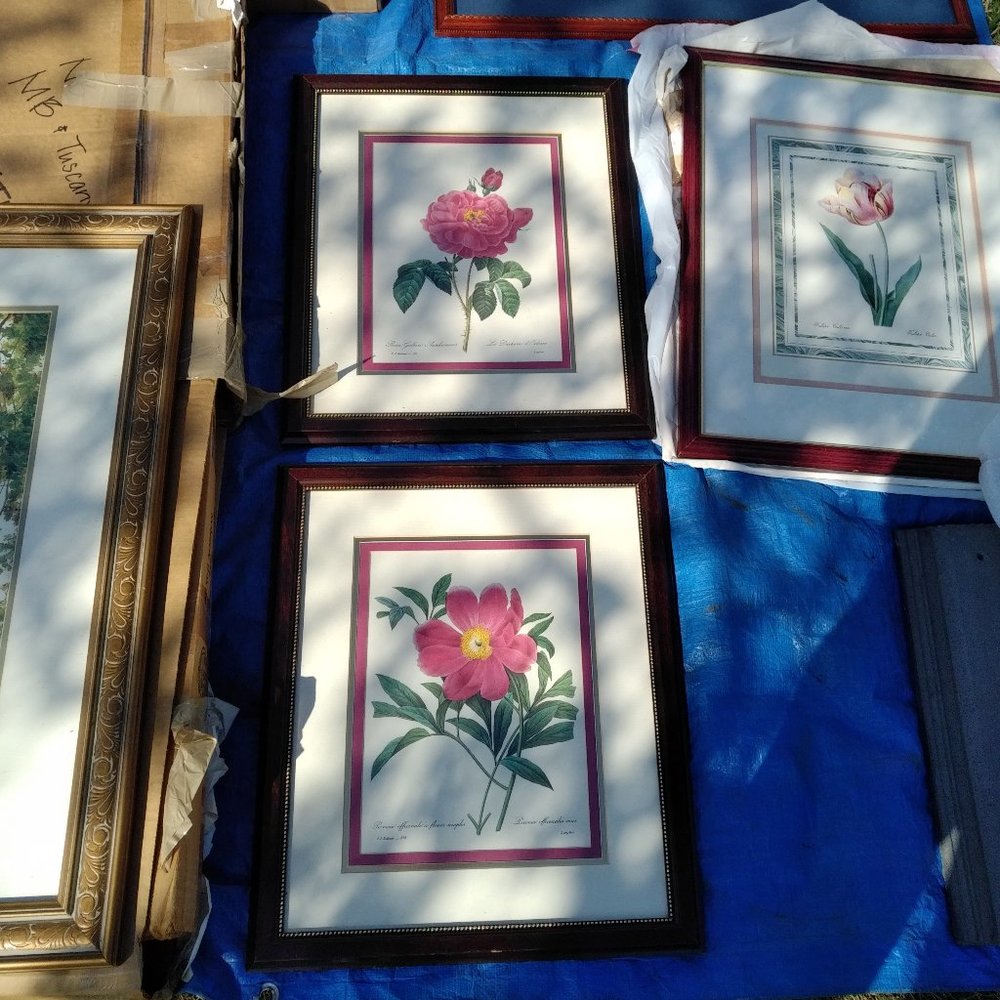 PAIR OF BOTANICAL PRINTS WITH ROSE-COLORED FLOWERS IN TRIPLE-MAT MAHOGANY FRAMES